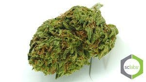 marijuana-dispensaries-261-s-arrowhead-ave-san-bernardino-yoda-cookies-6g-40-2435