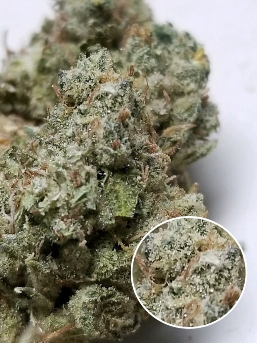 marijuana-dispensaries-2285-south-santa-fe-231-vista-yoda-kush