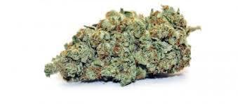 Yoda OG - Mother Herb - THC 24.24%