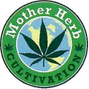 Yoda OG - Mother Herb