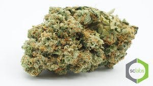 marijuana-dispensaries-2001-harbor-blvd-suite-23101-costa-mesa-yodas-brain-a-c2-80cexclusivea-c2-80c