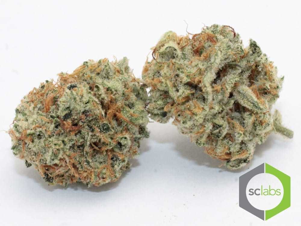 marijuana-dispensaries-207-e-florida-ave-hemet-yodas-brain-og-top-shelf
