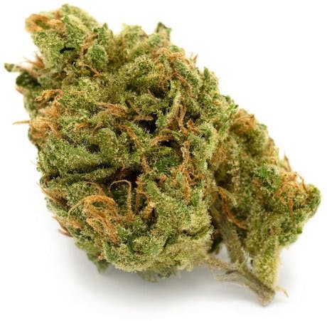 marijuana-dispensaries-569-searls-ave-nevada-city-zellys-gift-21-71-25-thc