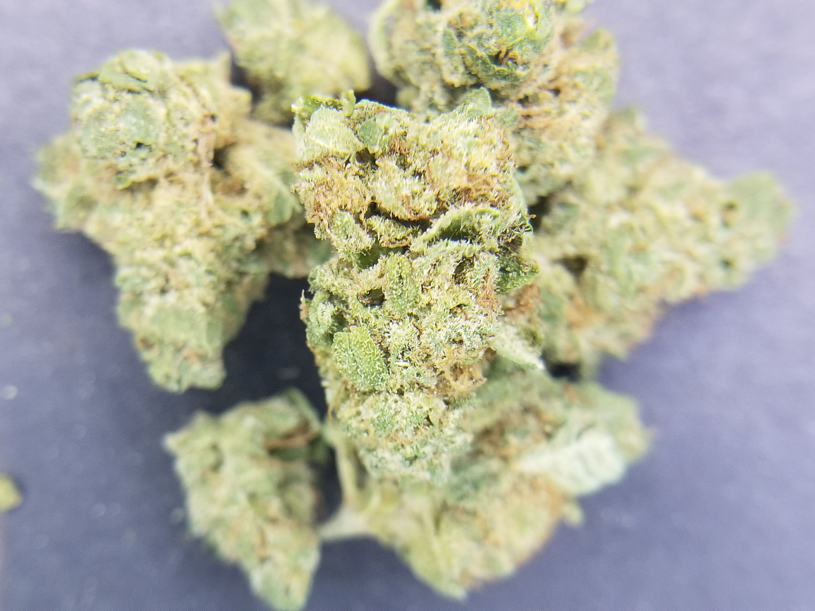 marijuana-dispensaries-5338-alhama-dr-woodland-hills-zen-sugar-cookies