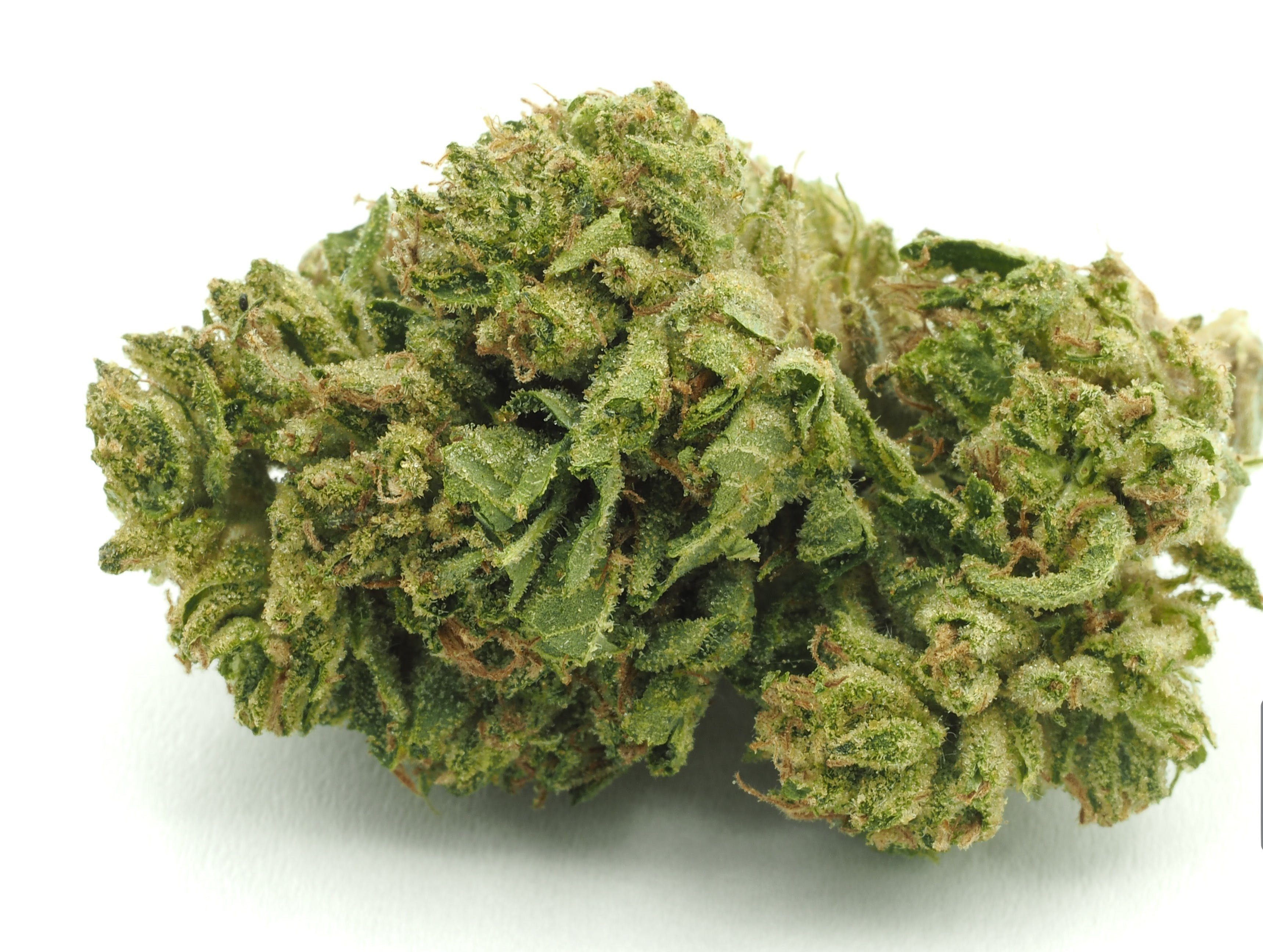 indica-zkittles-sun-grown-by-talking-trees-farms