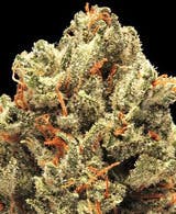 marijuana-dispensaries-herbal-choices-bandon-in-bandon-zkittles