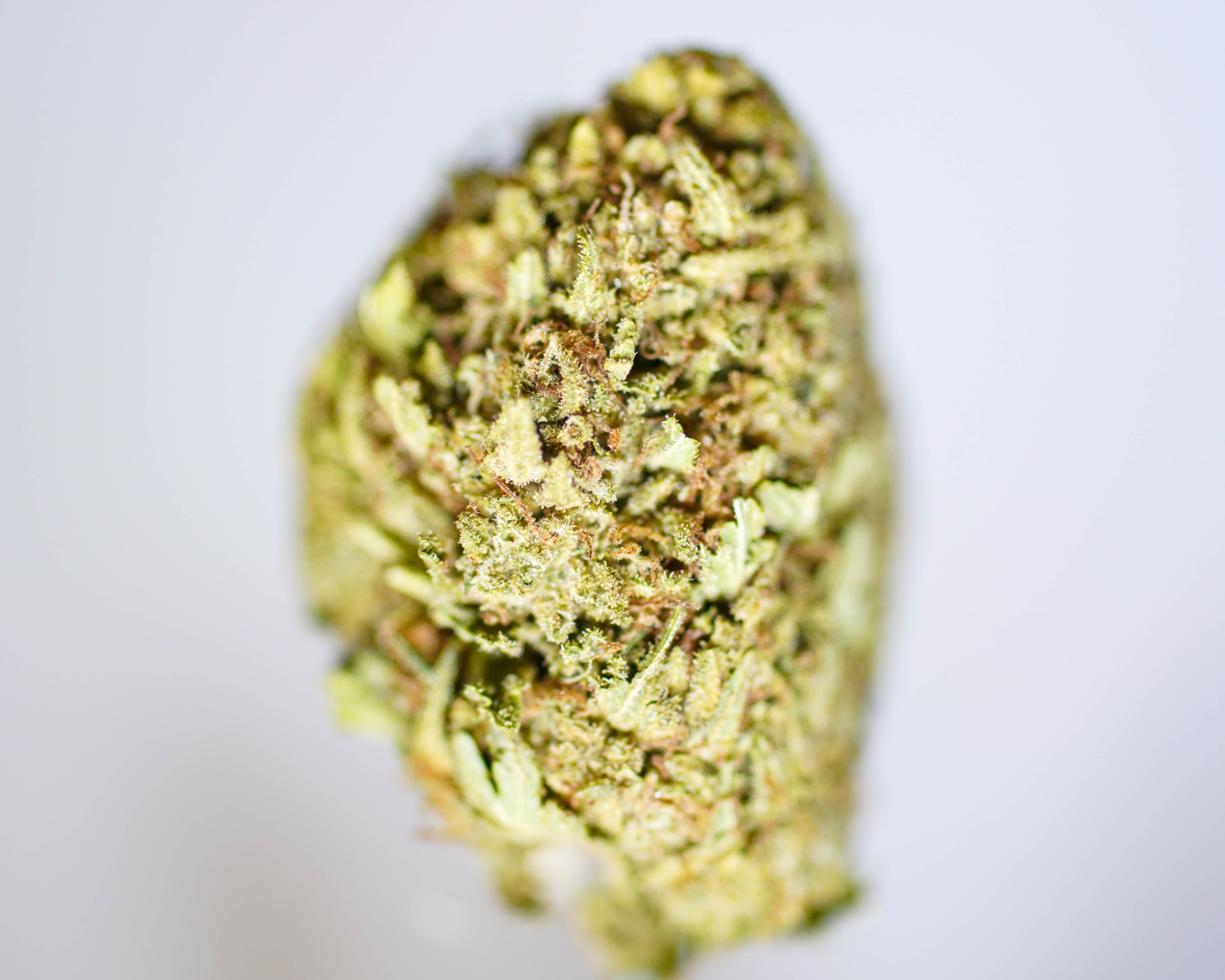 marijuana-dispensaries-979-n-la-brea-ave-los-angeles-zkittlez-by-herbarium