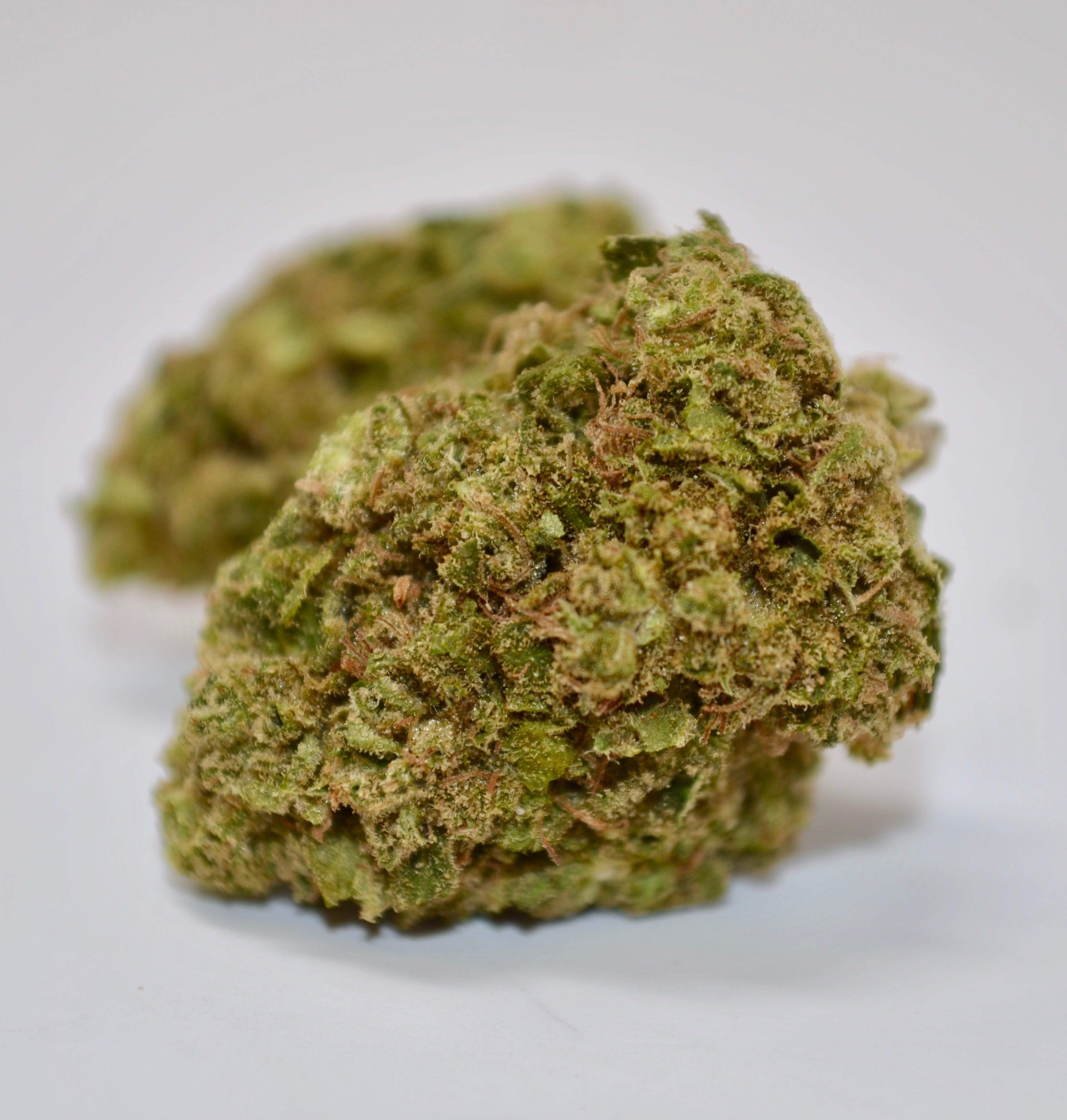 indica-zombie-hash-plant-21-09-25-top-shelf-special