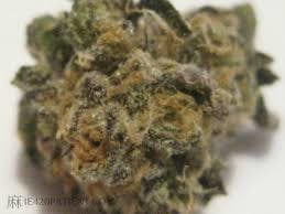 marijuana-dispensaries-2128-n-14th-street-ste-4-ponca-city-zombie-virus