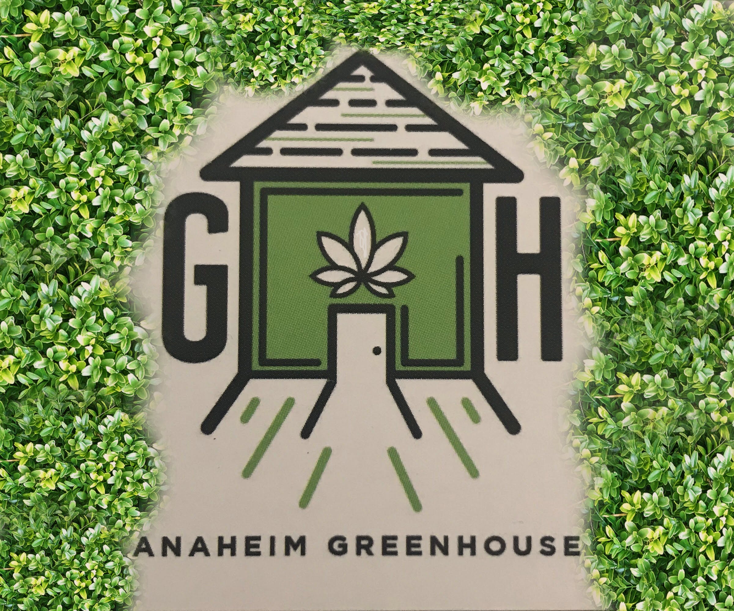 Anaheim Green House - Medical Marijuana Doctors - Cannabizme.com