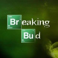 Breaking Bud 20 Cap - Medical Marijuana Doctors - Cannabizme.com