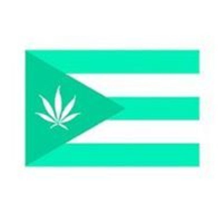 Caribbean Green Condado - Medical Marijuana Doctors - Cannabizme.com