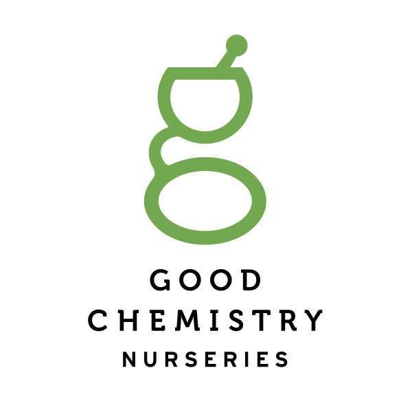 Good Chemistry Worcester - Medical Marijuana Doctors - Cannabizme.com