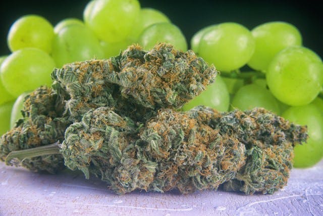 Green Grapes, Capes and Vapes - Medical Marijuana Doctors - Cannabizme.com