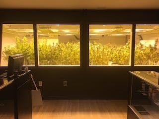 Herban Underground - Recreational - Medical Marijuana Doctors - Cannabizme.com