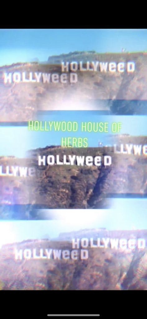 Hollywood House of Herbs 20 Cap - Medical Marijuana Doctors - Cannabizme.com