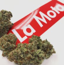 La Mota - Medford - Medical Marijuana Doctors - Cannabizme.com