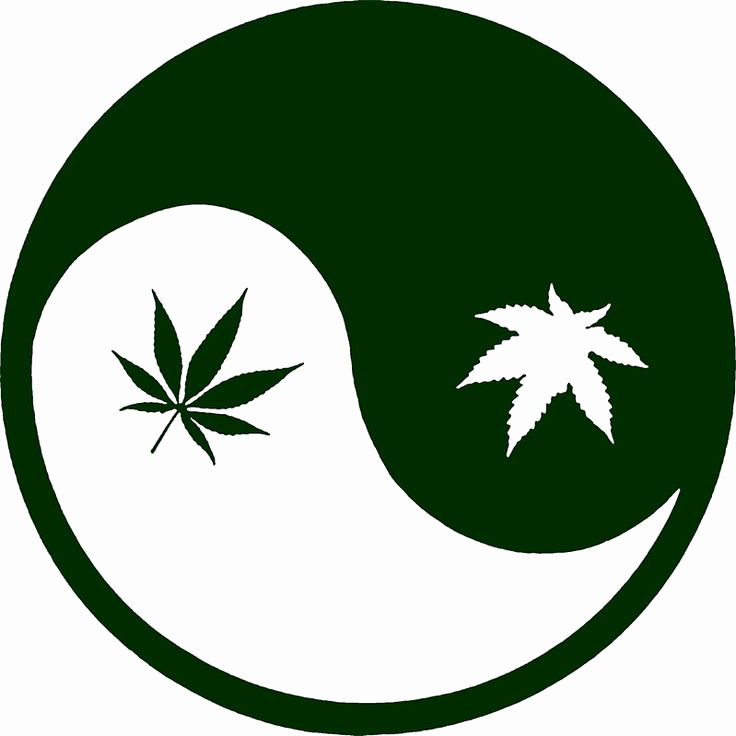 Manchester Remedy - Medical Marijuana Doctors - Cannabizme.com