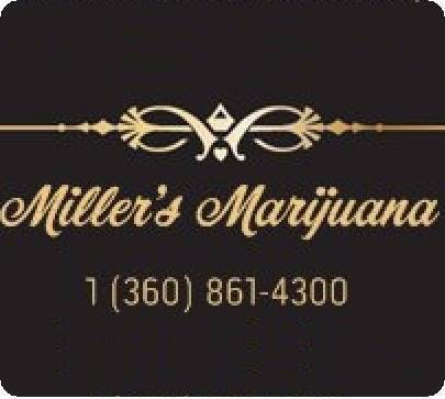 Miller's Marijuana - Medical Marijuana Doctors - Cannabizme.com