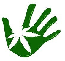 NaturaLeaf 2 - Medical Marijuana Doctors - Cannabizme.com