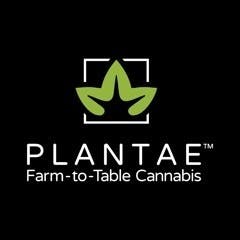 Plantae Health - Bend - Medical Marijuana Doctors - Cannabizme.com