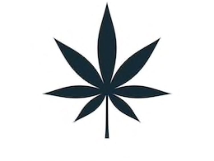 The Dank House - Medical Marijuana Doctors - Cannabizme.com