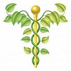 The Holistic Co-op - Medical Marijuana Doctors - Cannabizme.com