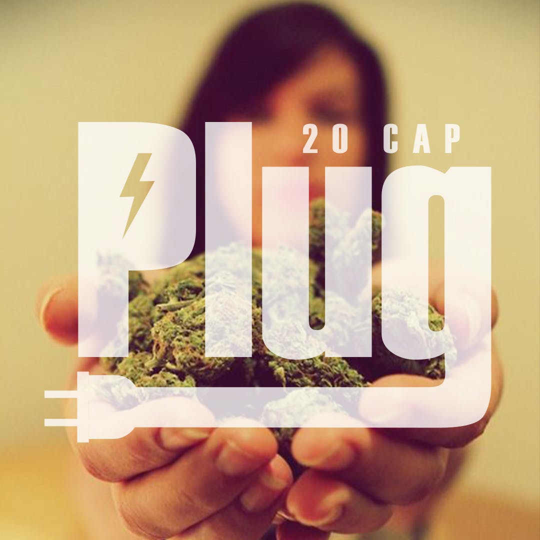 The Plug 20 Cap Collective - Medical Marijuana Doctors - Cannabizme.com