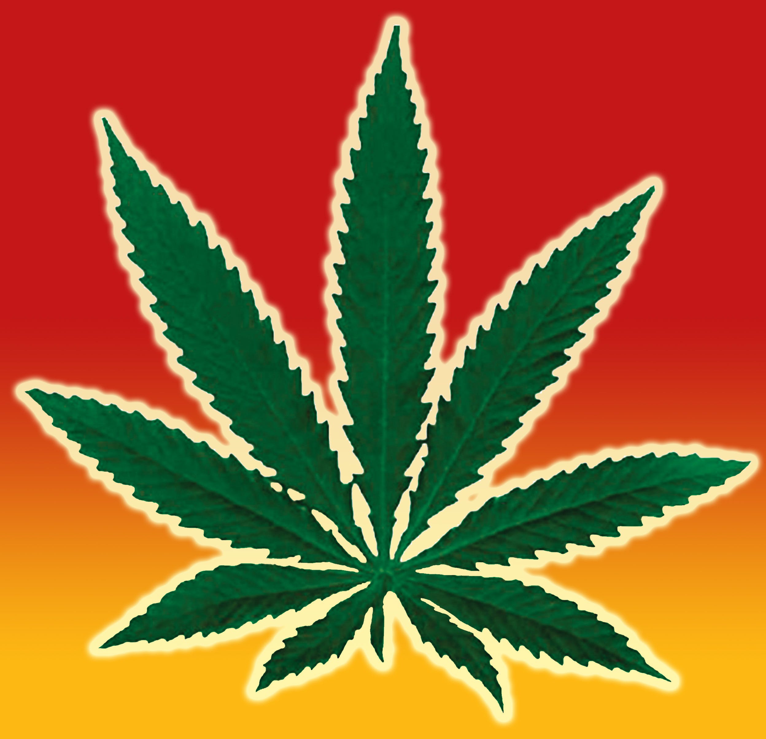 Top 20 - Medical Marijuana Doctors - Cannabizme.com