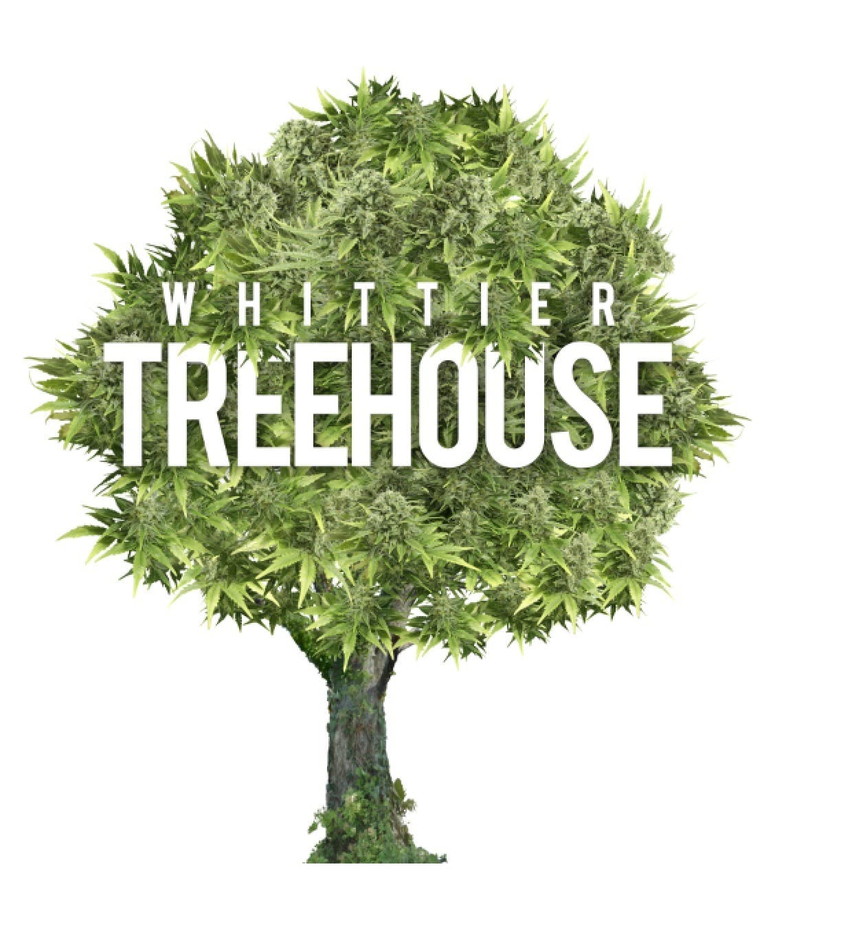 Whittier Treehouse - Medical Marijuana Doctors - Cannabizme.com