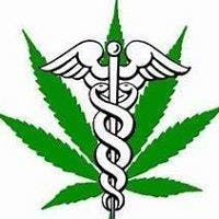 Avenue Of Cannabis - Medical Marijuana Doctors - Cannabizme.com
