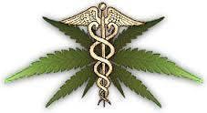 Delta 9 Medical Consulting - Medical Marijuana Doctors - Cannabizme.com