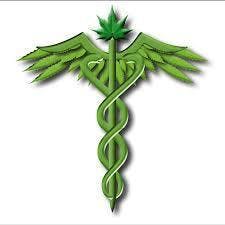 Dr. Scott D. Segal, MD - Medical Marijuana Doctors - Cannabizme.com