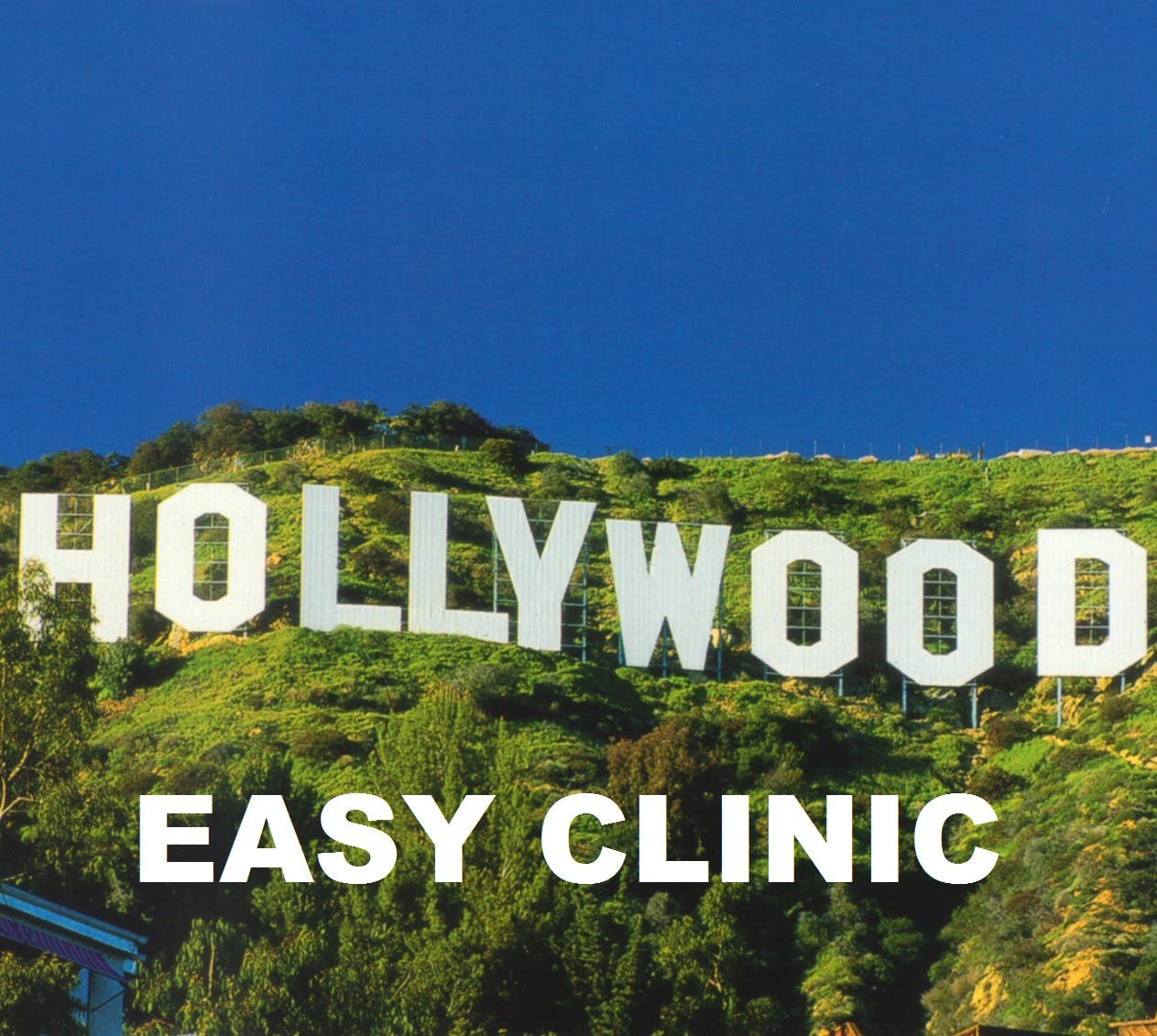 Medical Marijuana Card Doctors Hollywood Easy Clinic - Medical Marijuana Doctors - Cannabizme.com