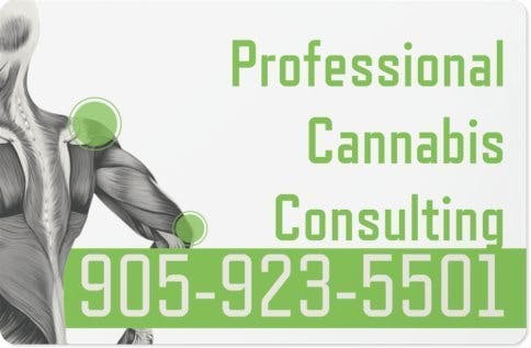 Professional Cannabis Consulting - Medical Marijuana Doctors - Cannabizme.com